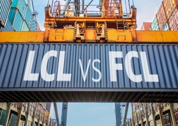 Phân Biệt Nghiệp Vụ FCL và LCL trong Logistics